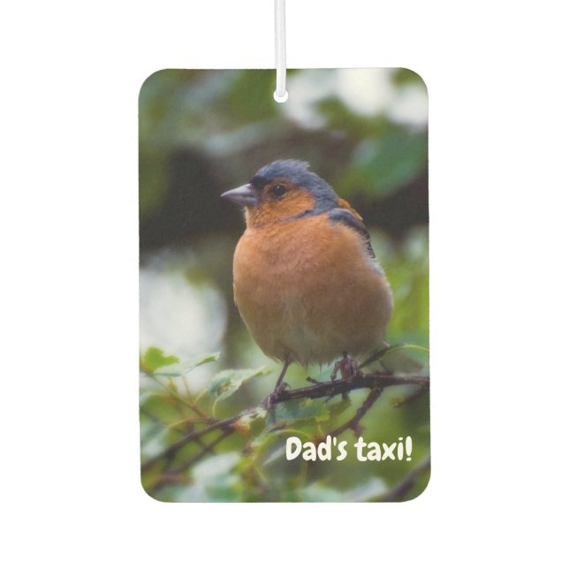 Chaffinch Vogel Luftkühler Autolufterfrischer (Vorderseite)