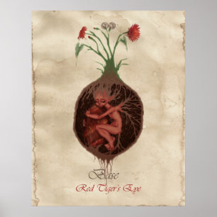 CHAKRA-FEE - BASE POSTER