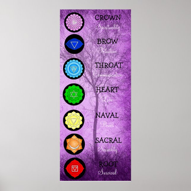 Chakras Center Chart Chi Energy Poster (Vorne)