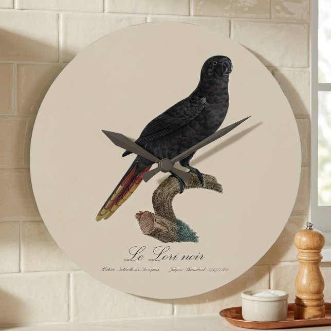 Chalcopsitta atra große wanduhr (Black Lory or Red-Quilled Lory, Chalcopsitta atra. Large Clock)