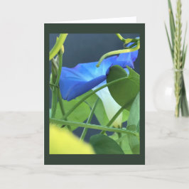 Chalice-of-Blue Morning Glory Blank  Karte