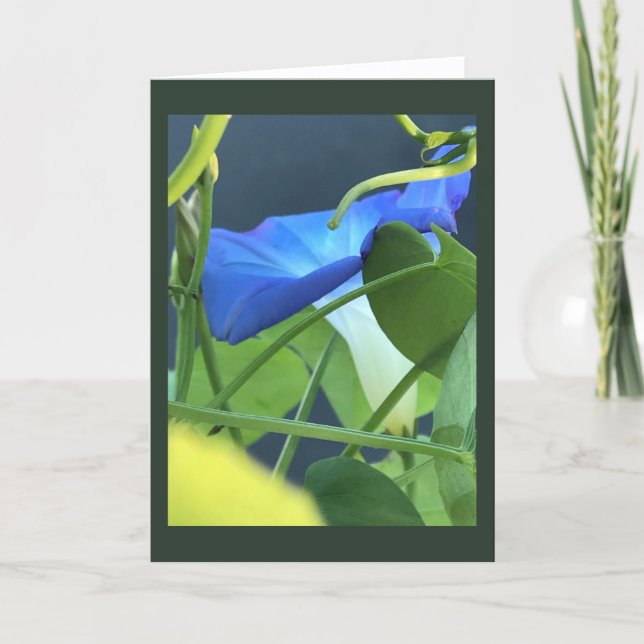Chalice-of-Blue Morning Glory Blank  Karte (Vorderseite)