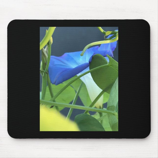 Chalice-of-Blue Morning Glory Mousepad (Vorne)