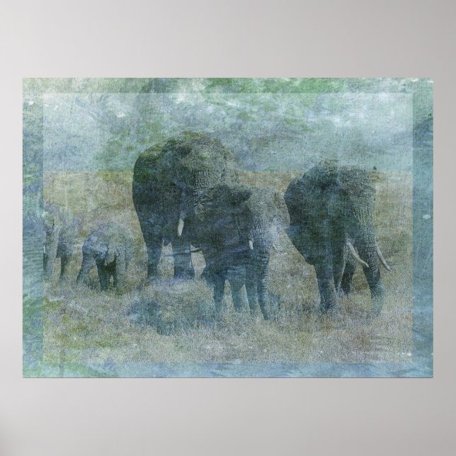 Chalk Elephants Poster (Vorne)