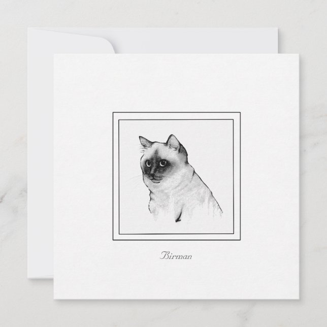 Chalk Zeichne eine flache Birman Cat Note Card Mitteilungskarte (Vorderseite)