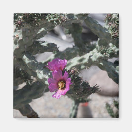 Challa Cactus in Blüte Magnet