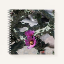 Challa Cactus in Blüte