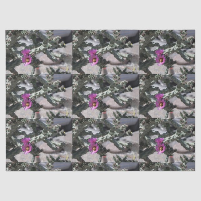 Challa Cactus in Blüte Seidenpapier (Vorderseite)