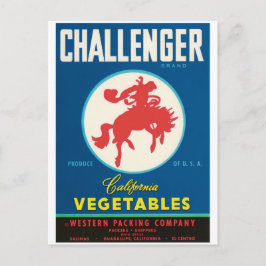 Challenger Rodeo Salinas El Centro Guadalupe CA Postkarte