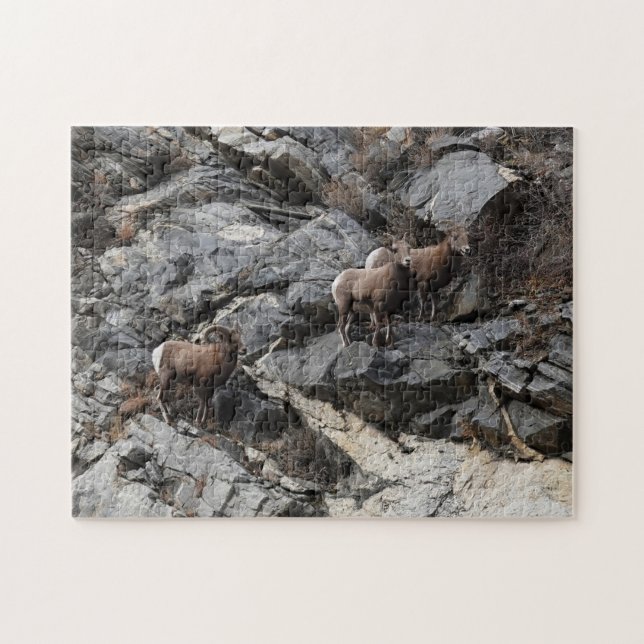Challenging Bighorn Sheep Georgetown Colorado Puzzle (Horizontal)