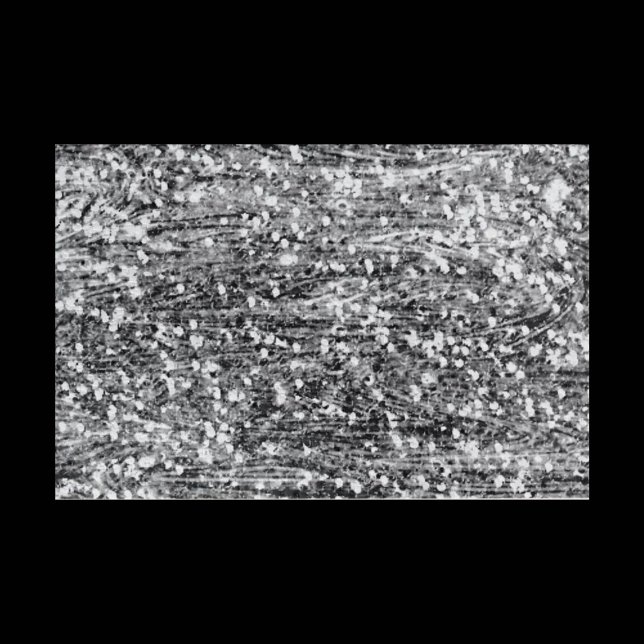 Challenging Black and White Puzzle (Von Creator hochgeladen)