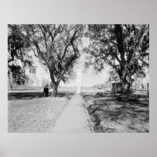 Chalmette-Denkmal: 1900 Poster