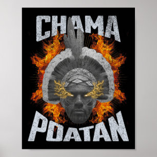 Chama Paotan Mixed Martial Arts Fan Jjb Boxing Mua Poster
