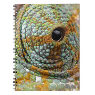 Chamäleon-Augen-Mod Stylisches Tier Notizblock
