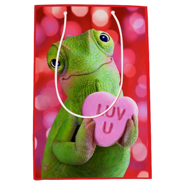Chamäleon-Herz (Liebe dich) Mittlere Geschenktüte (Vorderseite)