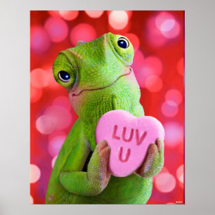 Chamäleon-Herz (Liebe dich) Poster