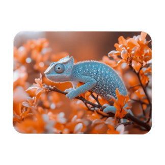 Chamäleon Wildtierporträt Natürliche Umgebung Magnet