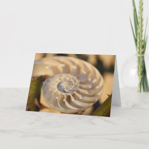 Chambered Nautilus Karte