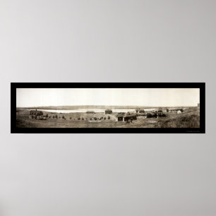 Chamberlain SD Indian Foto 1907 Poster