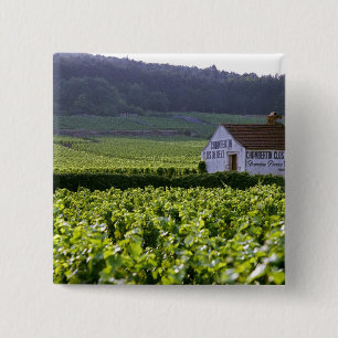 Chambertin Clos de Beze Grand Cru Weinberg mit Button
