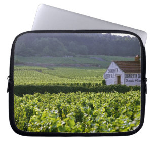 Chambertin Clos de Beze Grand Cru Weinberg mit Laptopschutzhülle