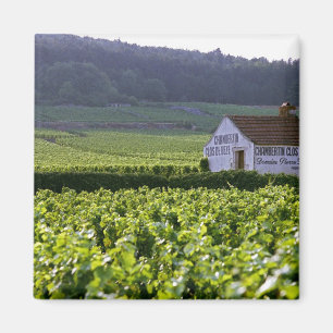 Chambertin Clos de Beze Grand Cru Weinberg mit Magnet