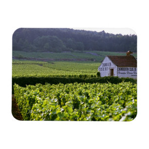 Chambertin Clos de Beze Grand Cru-Weinberg mit Magnet
