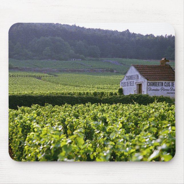 Chambertin Clos de Beze Grand Cru Weinberg mit Mousepad (Vorne)