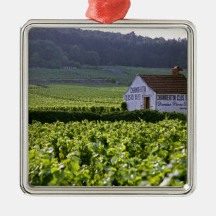 Chambertin Clos de Beze Grand Cru Weinberg mit Silbernes Ornament