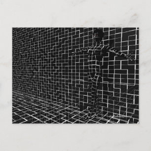 Chamelea Postcard Postkarte