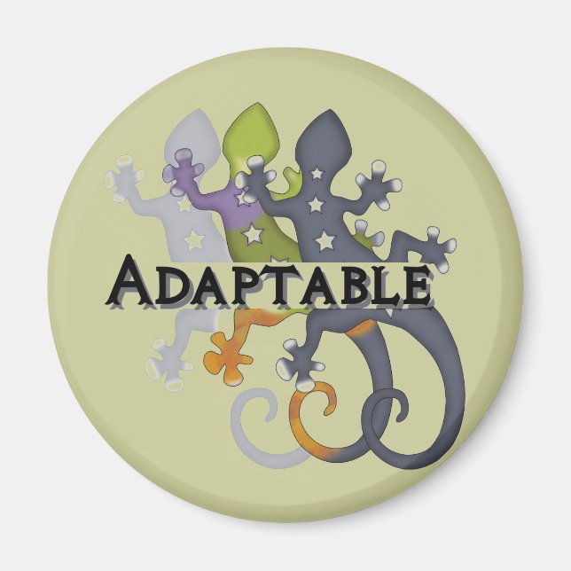 Chameleon Adaptable Magnet (Vorne)