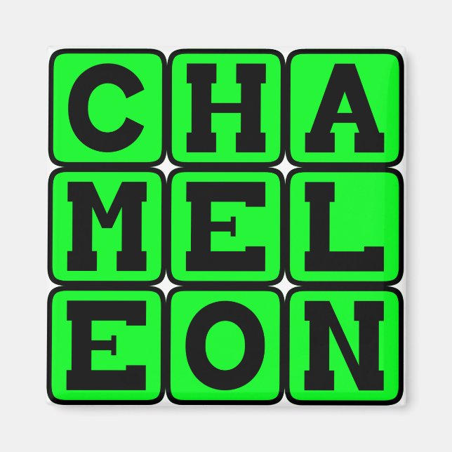 Chameleon, farbverändernde Eidechse Magnet (Vorne)