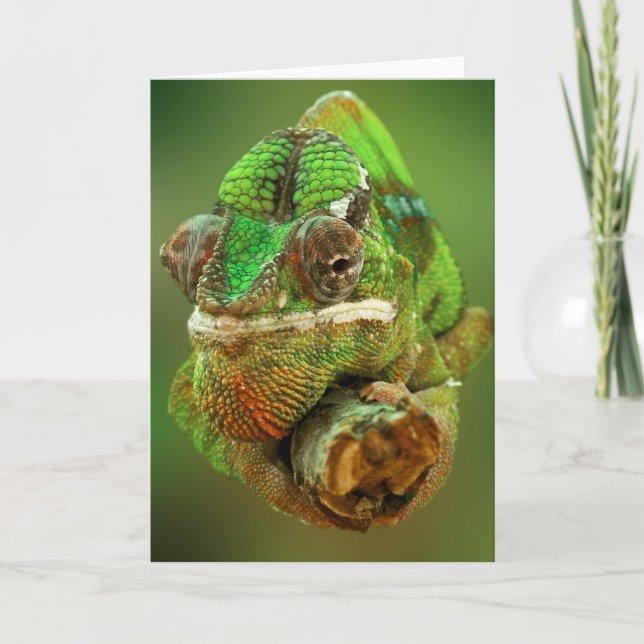 Chameleon-Foto Karte (Vorderseite)