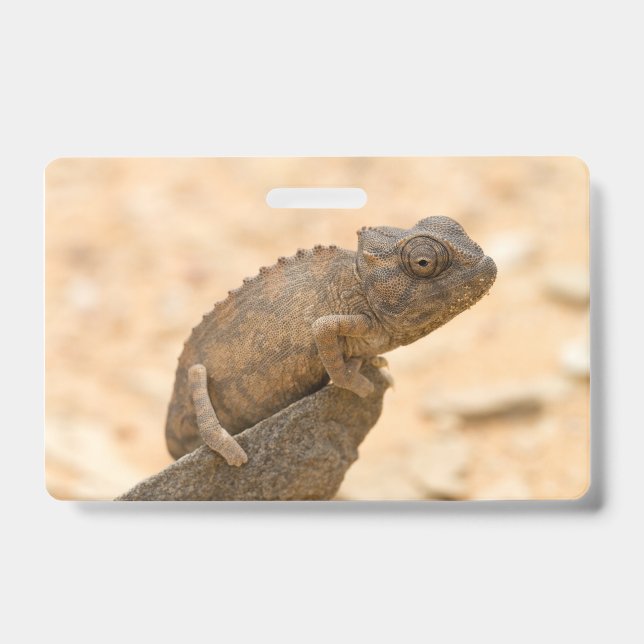 Chameleon in Namibia Ausweis (Vorderseite)