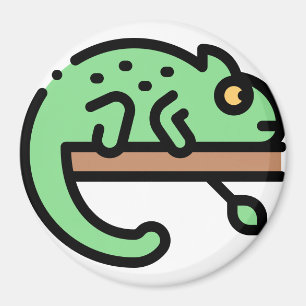 Chameleon Magnet
