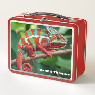 Chameleon Metall Brotdose