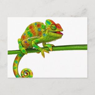 Chameleon Postkarte