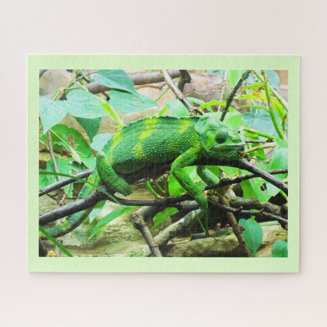 Chameleon Puzzle (Horizontal)