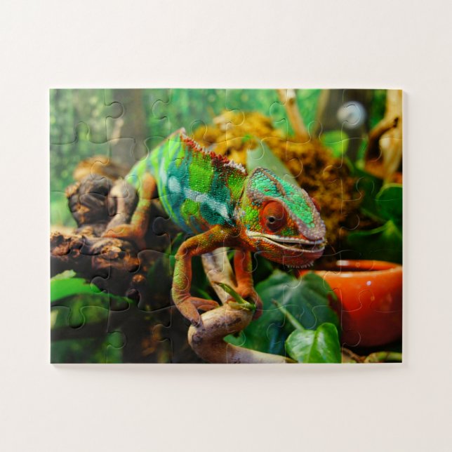 Chameleon Puzzle - (Horizontal)