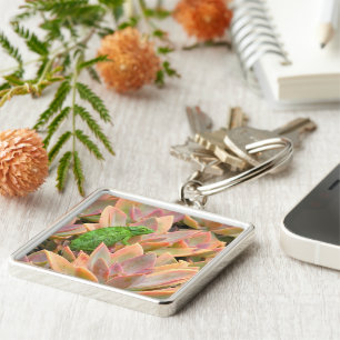 "CHAMELEON RESPEKTIERT ÜBER DIE ERFOLGREICHE PFLAN SCHLÜSSELANHÄNGER