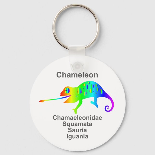 Chameleon Schlüsselanhänger (Vorderseite)