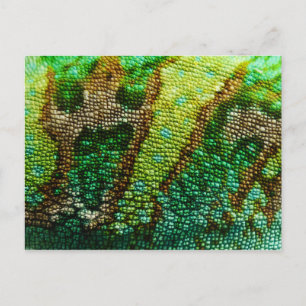 Chameleon Skin Postkarte
