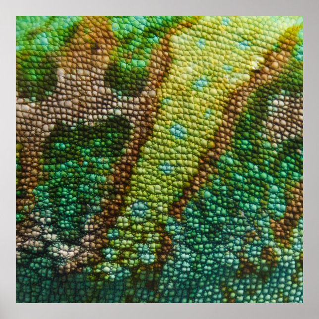 Chameleon Skin Texture Template Poster (Vorne)