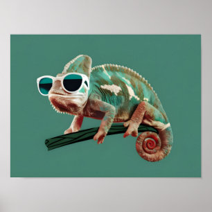 Chameleon trägt Sonnenbrille auf festem Hintergrun Poster