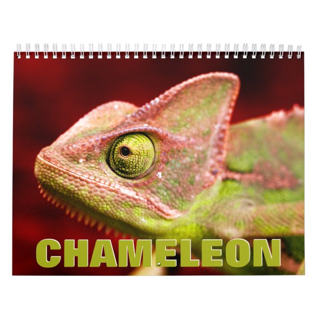 Chameleon Wall Calendar Kalender (Titelbild)