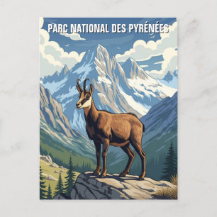 Chamois in Frankreich Pyrenäen Nationalpark Reisen Postkarte