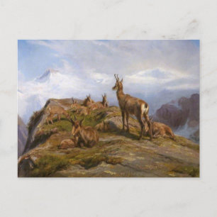 Chamois von Rosa Bonheur Postcard Postkarte