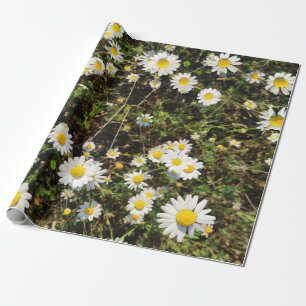 Chamomile-Blume Geschenkpapier