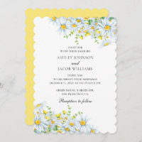 Chamomile. Blume in Ländern. Blumenhochzeit