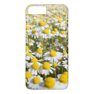 Chamomile Blume nah-up, Ungarn Case-Mate iPhone Hülle